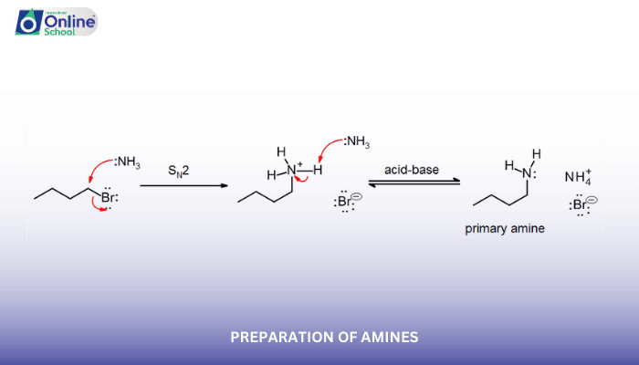 Lesson 09: Preparation of Amines